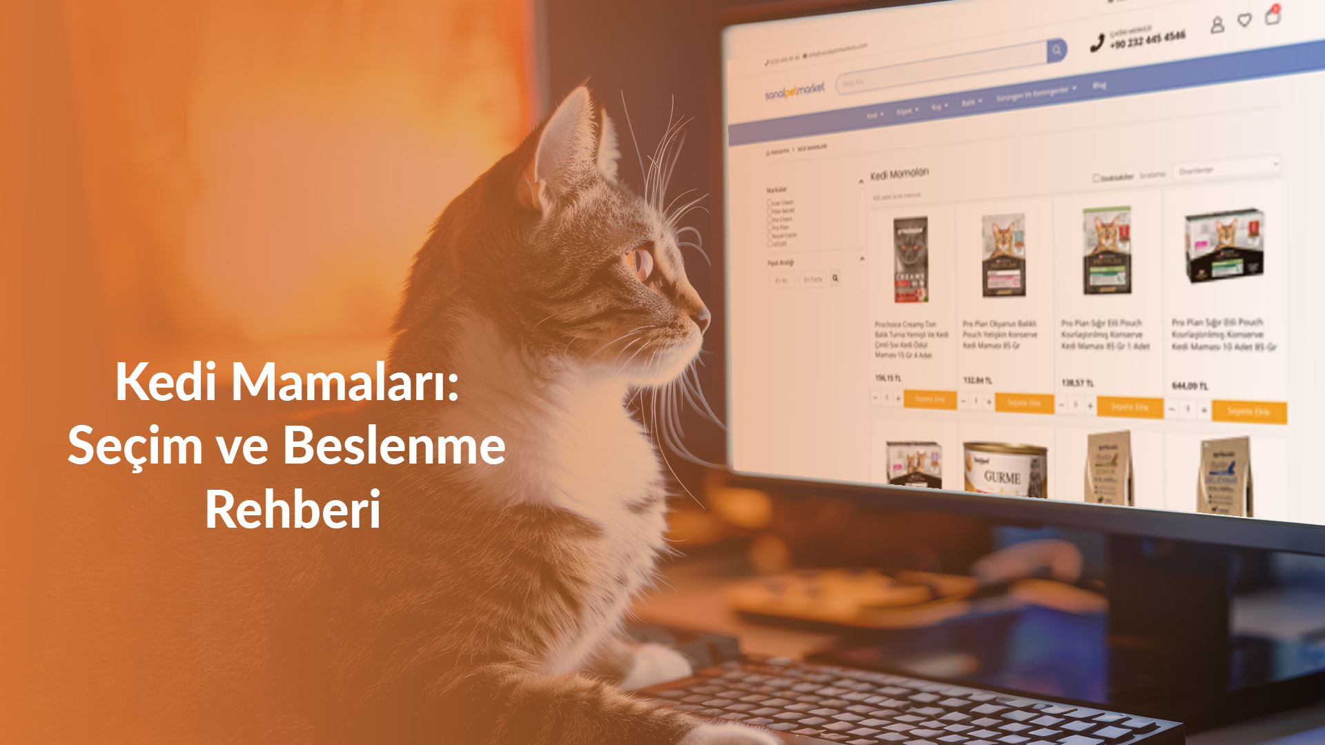 Kedi Mamaları: Seçim ve Beslenme Rehberi